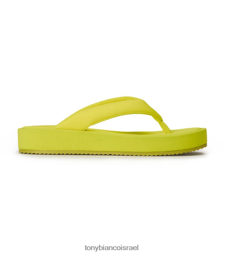 אוֹר שֶׁמֶשׁ